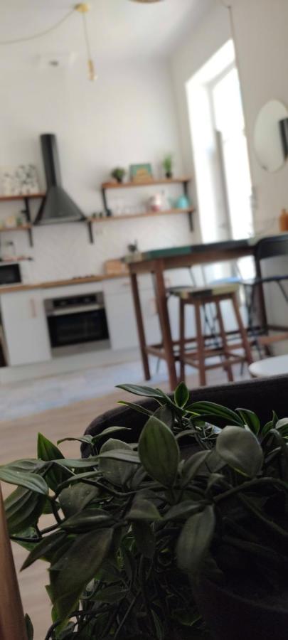 Coquet Coeur De Apartament